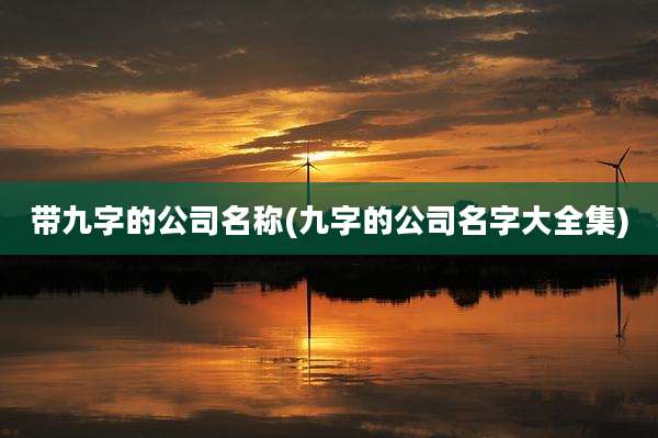 带九字的公司名称(九字的公司名字大全集)