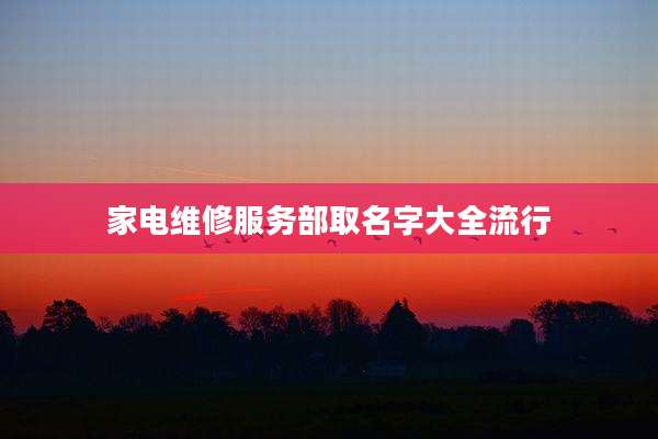 家电维修服务部取名字大全流行