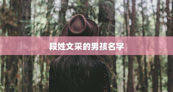 段姓文采的男孩名字