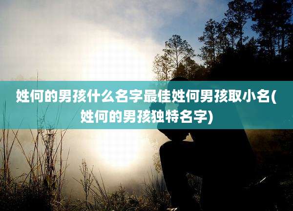 姓何的男孩什么名字最佳姓何男孩取小名(姓何的男孩独特名字)