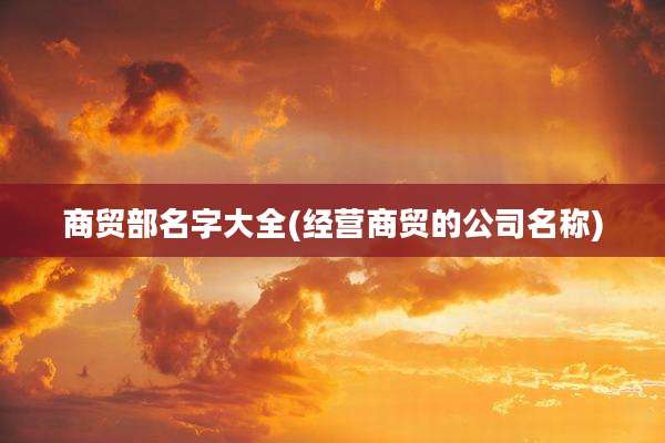 商贸部名字大全(经营商贸的公司名称)