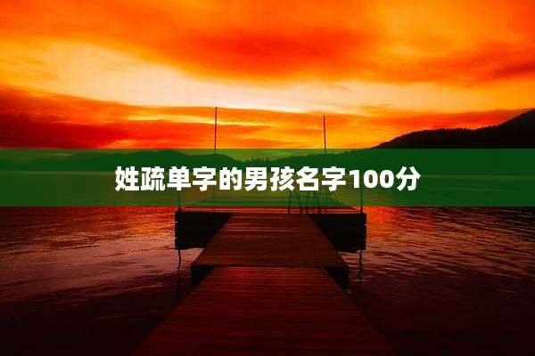 姓疏单字的男孩名字100分