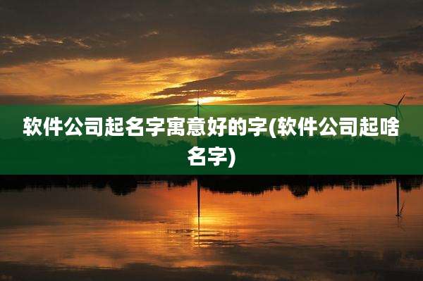 软件公司起名字寓意好的字(软件公司起啥名字)