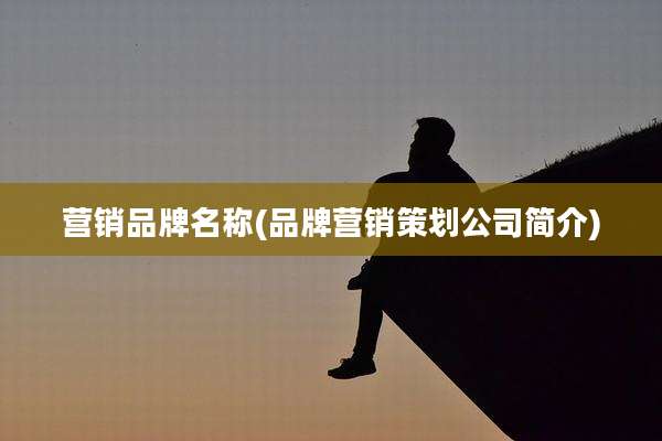 营销品牌名称(品牌营销策划公司简介)