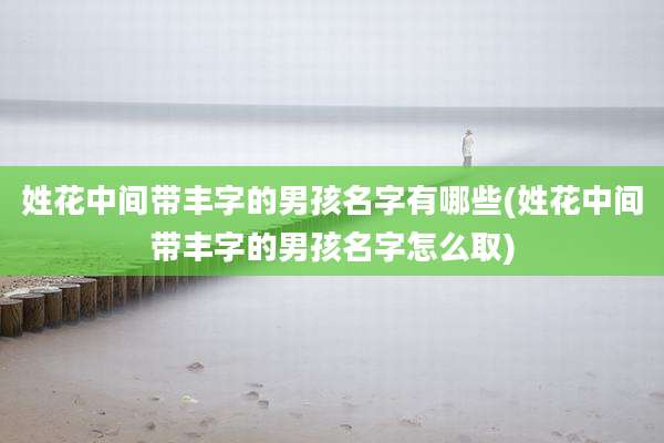 姓花中间带丰字的男孩名字有哪些(姓花中间带丰字的男孩名字怎么取)