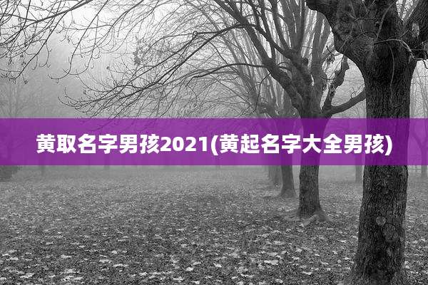 黄取名字男孩2021(黄起名字大全男孩)