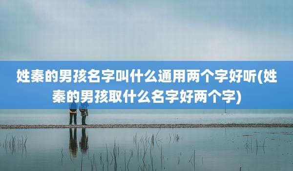 姓秦的男孩名字叫什么通用两个字好听(姓秦的男孩取什么名字好两个字)