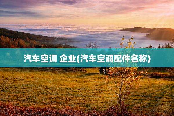 汽车空调 企业(汽车空调配件名称)