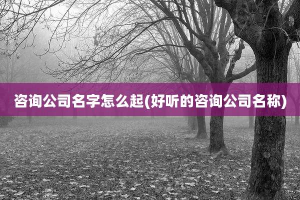 咨询公司名字怎么起(好听的咨询公司名称)