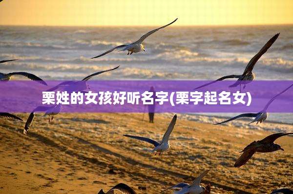 栗姓的女孩好听名字(栗字起名女)