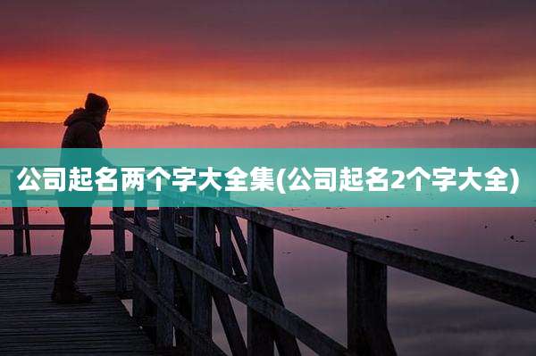 公司起名两个字大全集(公司起名2个字大全)