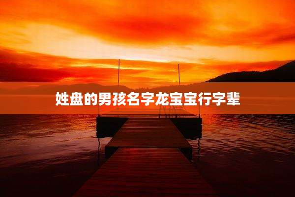 姓盘的男孩名字龙宝宝行字辈