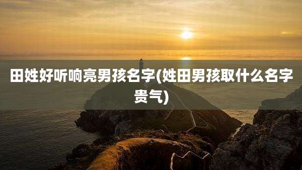 田姓好听响亮男孩名字(姓田男孩取什么名字贵气)