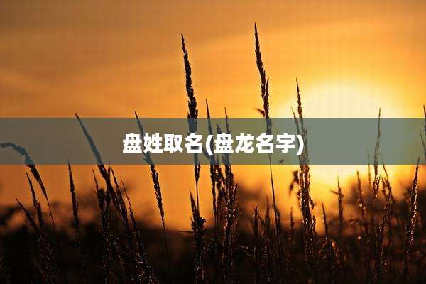 盘姓取名(盘龙名字)