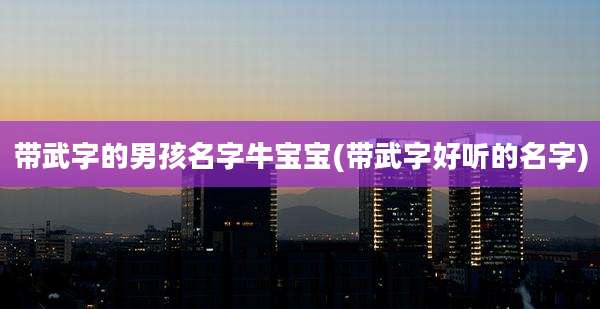 带武字的男孩名字牛宝宝(带武字好听的名字)