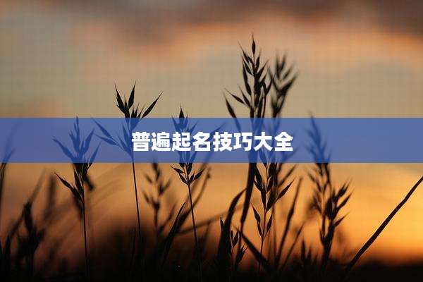普遍起名技巧大全
