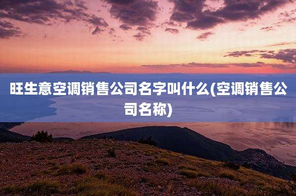 旺生意空调销售公司名字叫什么(空调销售公司名称)