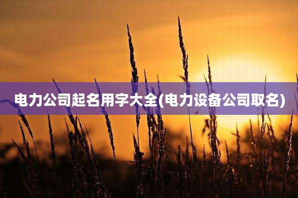 电力公司起名用字大全(电力设备公司取名)