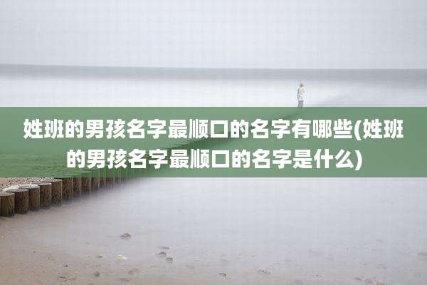 姓班的男孩名字最顺口的名字有哪些(姓班的男孩名字最顺口的名字是什么)