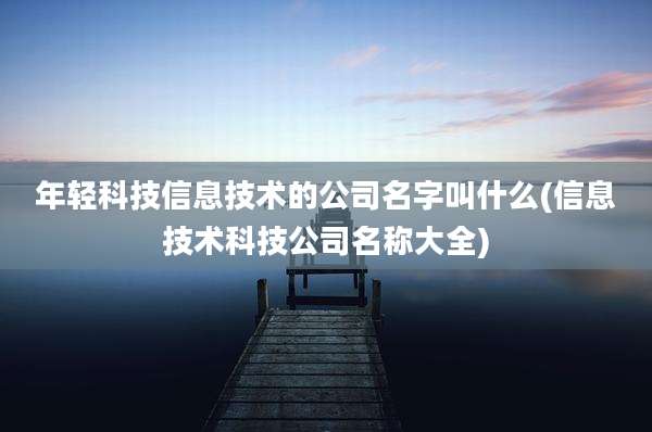 年轻科技信息技术的公司名字叫什么(信息技术科技公司名称大全)