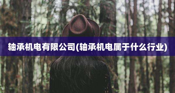 轴承机电有限公司(轴承机电属于什么行业)
