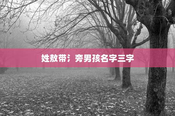 姓敖带氵旁男孩名字三字