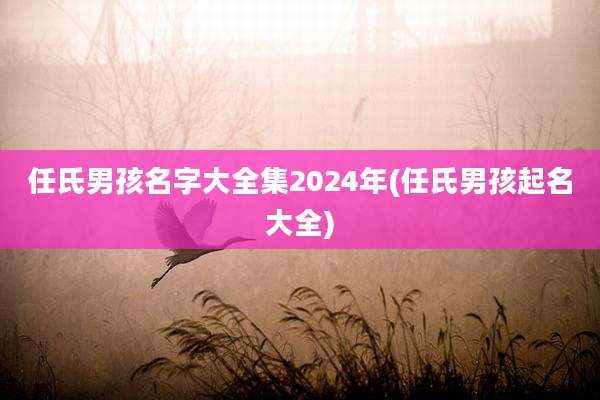 任氏男孩名字大全集2024年(任氏男孩起名大全)