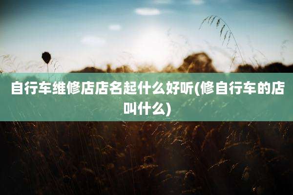自行车维修店店名起什么好听(修自行车的店叫什么)