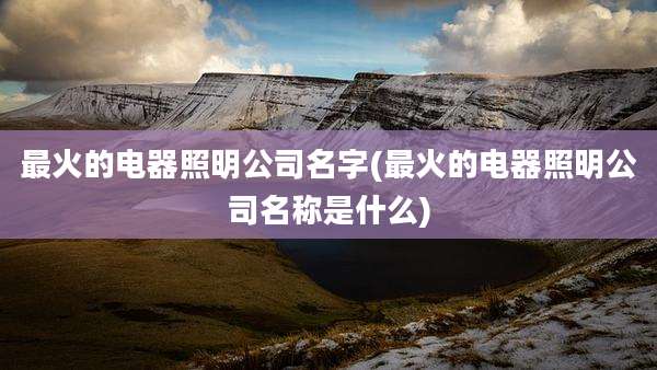 最火的电器照明公司名字(最火的电器照明公司名称是什么)