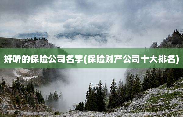 好听的保险公司名字(保险财产公司十大排名)