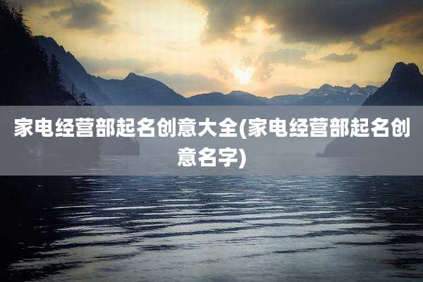 家电经营部起名创意大全(家电经营部起名创意名字)