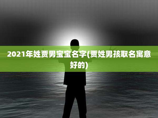 2021年姓贾男宝宝名字(贾姓男孩取名寓意好的)