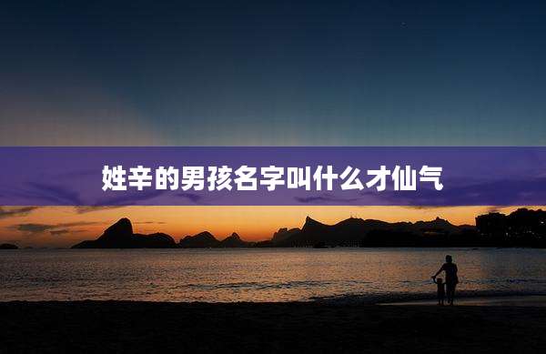 姓辛的男孩名字叫什么才仙气
