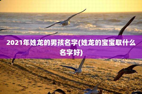 2021年姓龙的男孩名字(姓龙的宝宝取什么名字好)