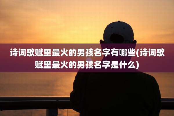 诗词歌赋里最火的男孩名字有哪些(诗词歌赋里最火的男孩名字是什么)