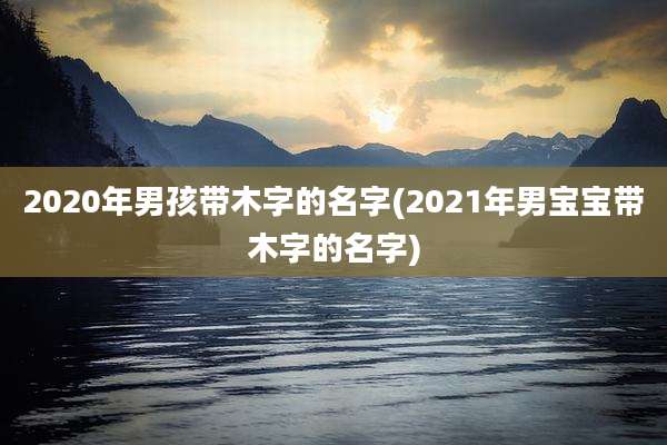2020年男孩带木字的名字(2021年男宝宝带木字的名字)