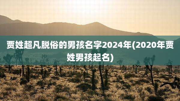 贾姓超凡脱俗的男孩名字2024年(2020年贾姓男孩起名)