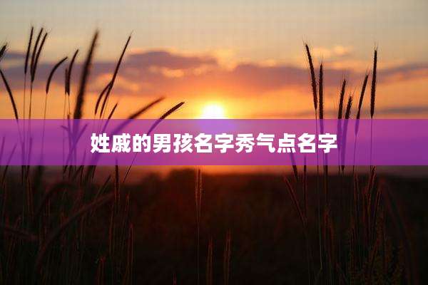 姓戚的男孩名字秀气点名字