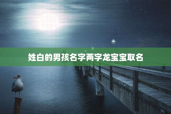姓白的男孩名字两字龙宝宝取名