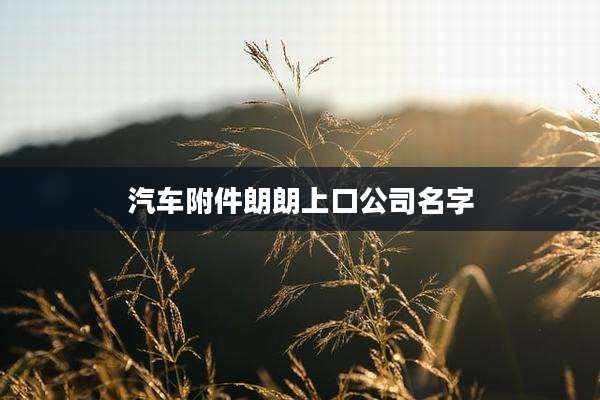 汽车附件朗朗上口公司名字