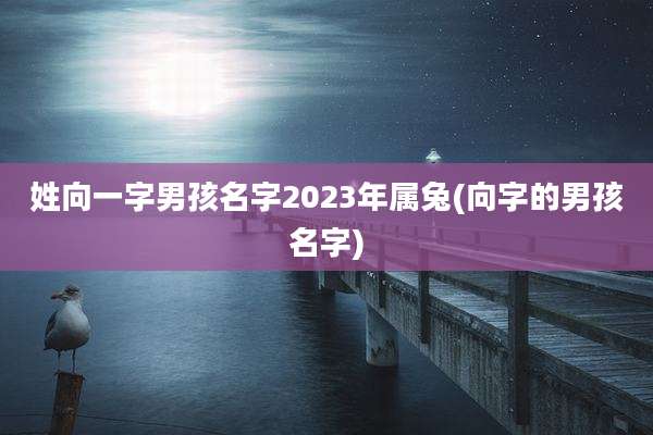 姓向一字男孩名字2023年属兔(向字的男孩名字)