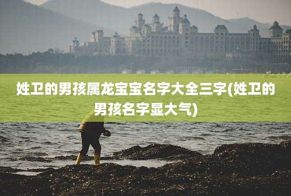姓卫的男孩属龙宝宝名字大全三字(姓卫的男孩名字显大气)