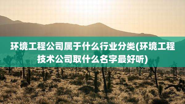 环境工程公司属于什么行业分类(环境工程技术公司取什么名字最好听)