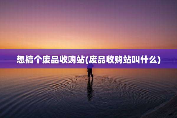 想搞个废品收购站(废品收购站叫什么)