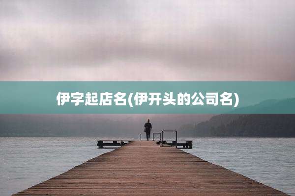 伊字起店名(伊开头的公司名)