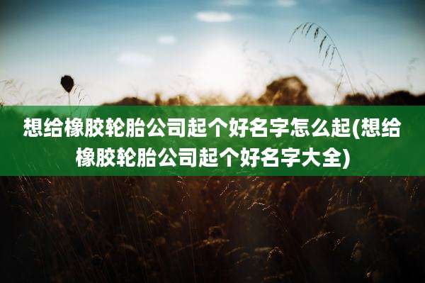 想给橡胶轮胎公司起个好名字怎么起(想给橡胶轮胎公司起个好名字大全)