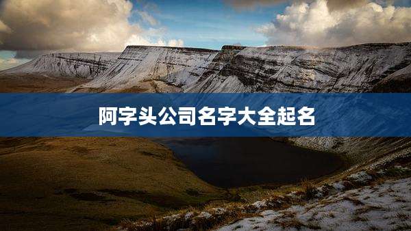 阿字头公司名字大全起名