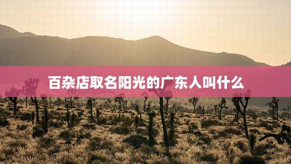 百杂店取名阳光的广东人叫什么