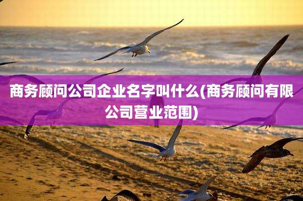 商务顾问公司企业名字叫什么(商务顾问有限公司营业范围)