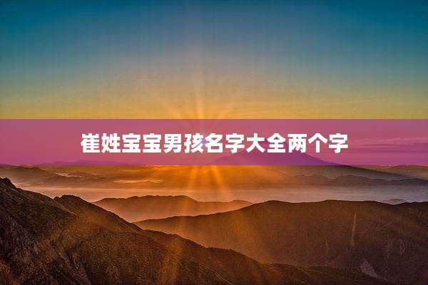 崔姓宝宝男孩名字大全两个字